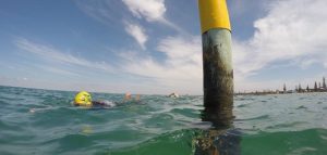 Tri-Alliance-The-Pole-Elwood-Beach