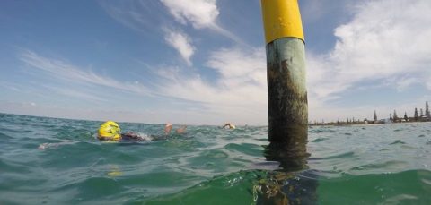 Tri-Alliance-The-Pole-Elwood-Beach