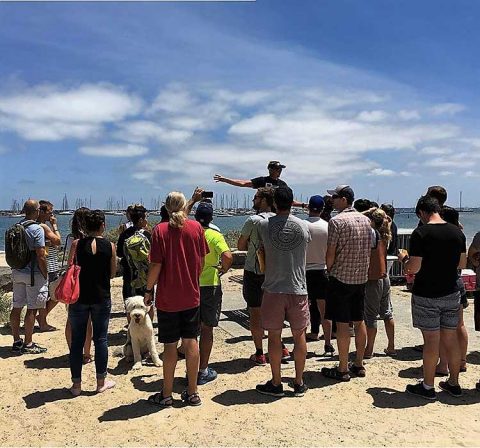 Tri Alliance Free Pre Race Tipis & Tricks Clinic