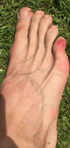 Eddys-Blog Eddys-Blog