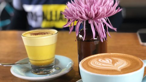 Boost-Your-Immune-System