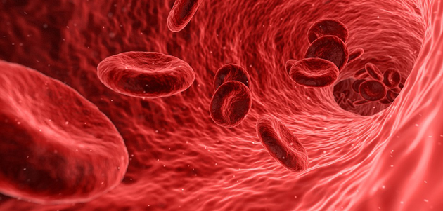 Red-Blood-Cells---Free-Image-on-Pixabay